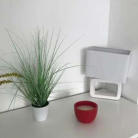 아파트 New Modern 2 Flat With Terrace And Parking 마인츠